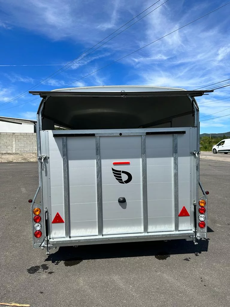  Debon Roadster 1000 